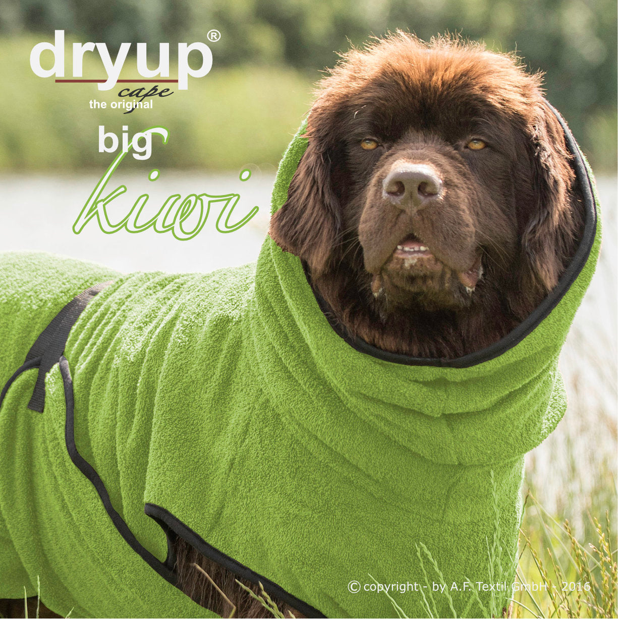 DRYUP CAPE Big – Hundebademantel für große Hunderassen