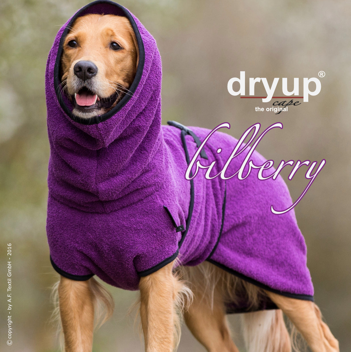 DRYUP CAPE Standard – Der hochwertige Hundebademantel aus Baumwolle L - XXL
