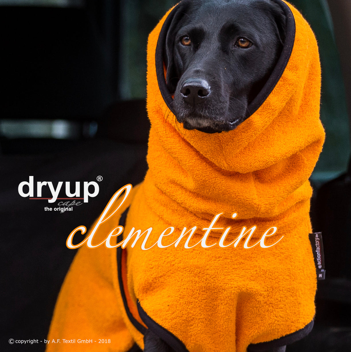 DRYUP CAPE Standard – Der hochwertige Hundebademantel aus Baumwolle L - XXL