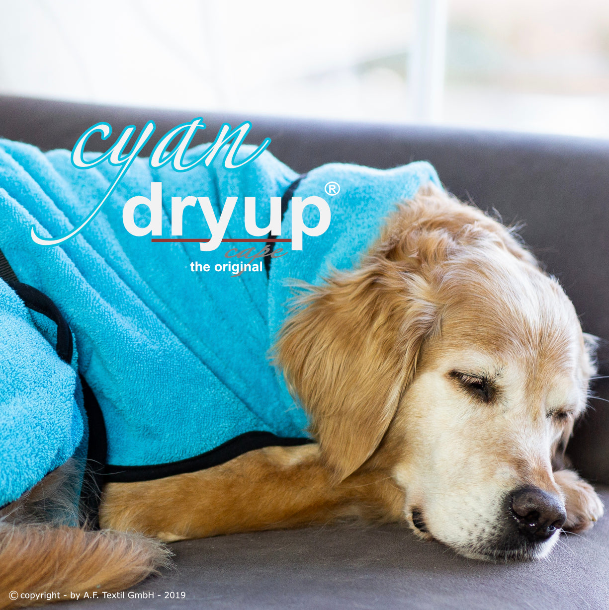 DRYUP CAPE Standard – Der hochwertige Hundebademantel aus Baumwolle L - XXL