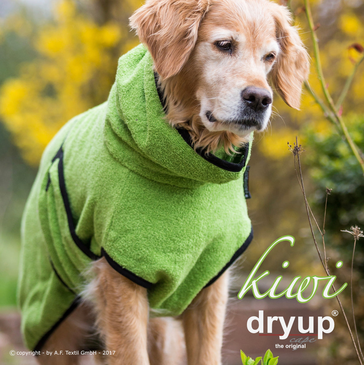 DRYUP CAPE Standard – Der hochwertige Hundebademantel aus Baumwolle L - XXL
