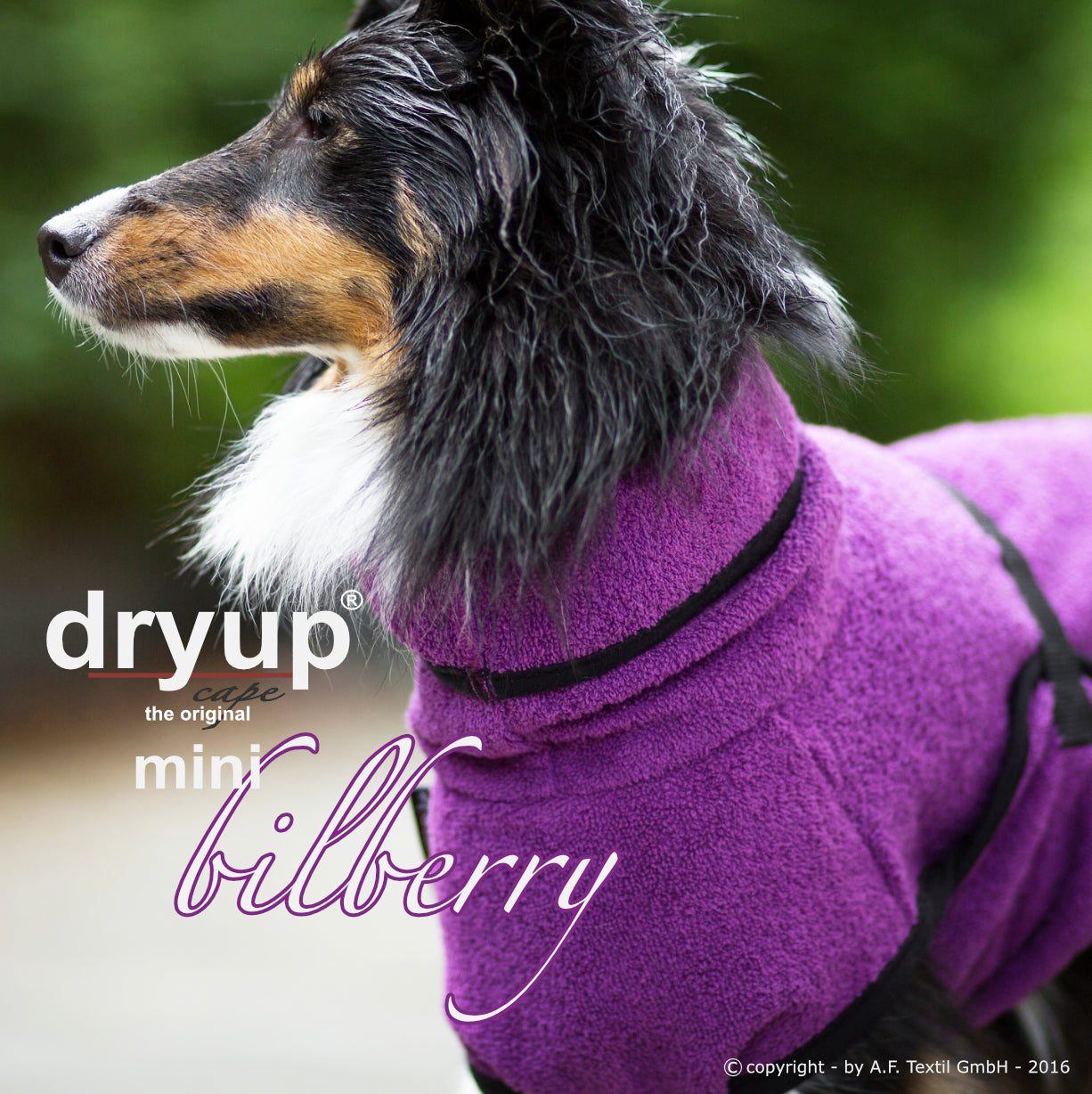 DRYUP CAPE Mini – Hundebademantel für die Kleinen und Kleinsten