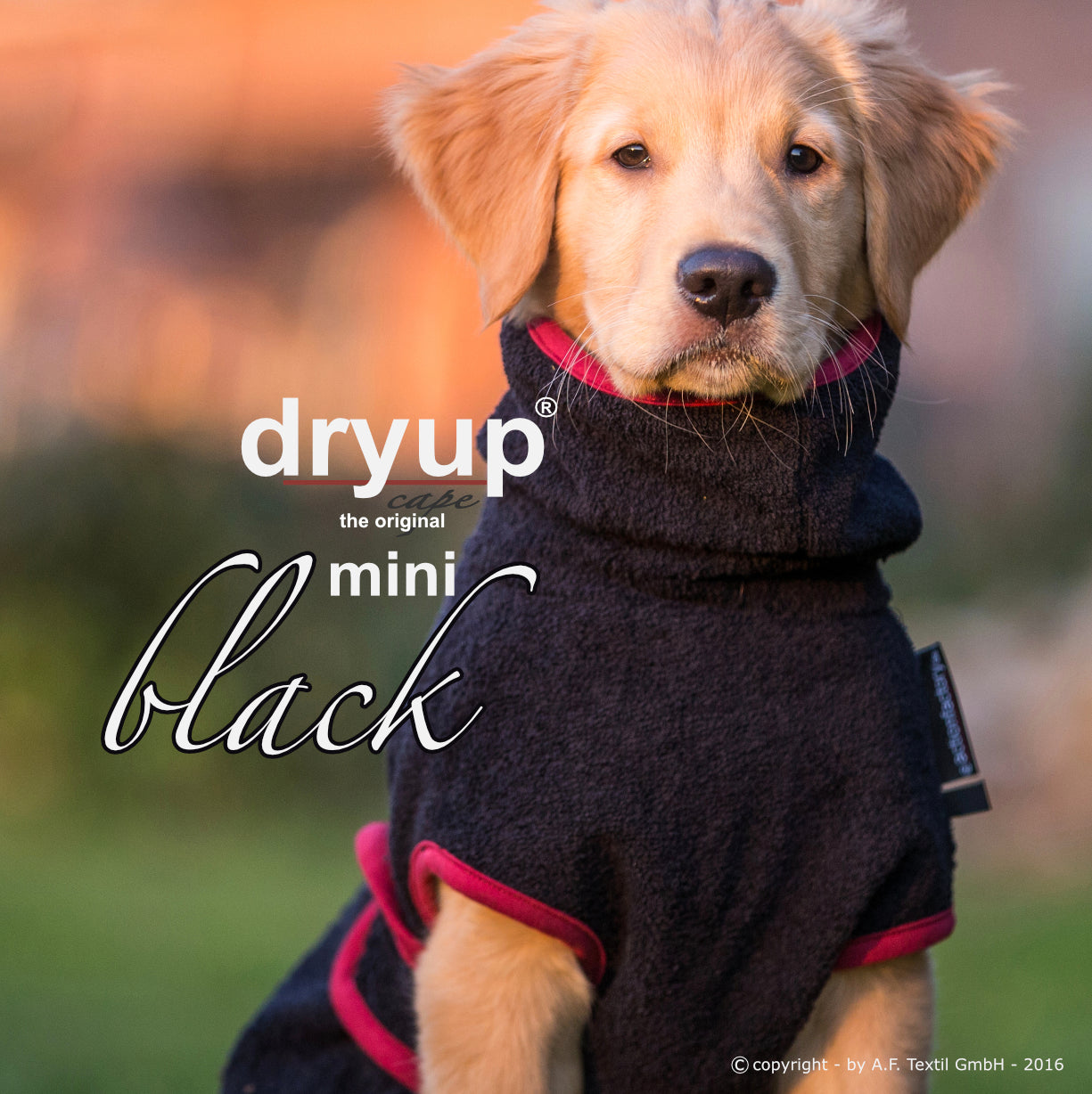DRYUP CAPE Mini – Hundebademantel für die Kleinen und Kleinsten