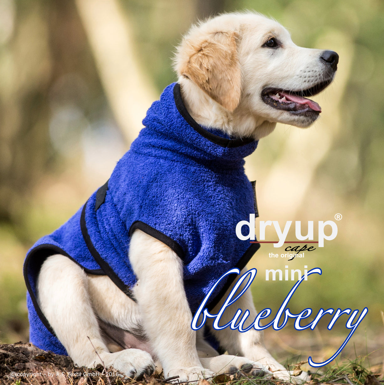 DRYUP CAPE Mini – Hundebademantel für die Kleinen und Kleinsten