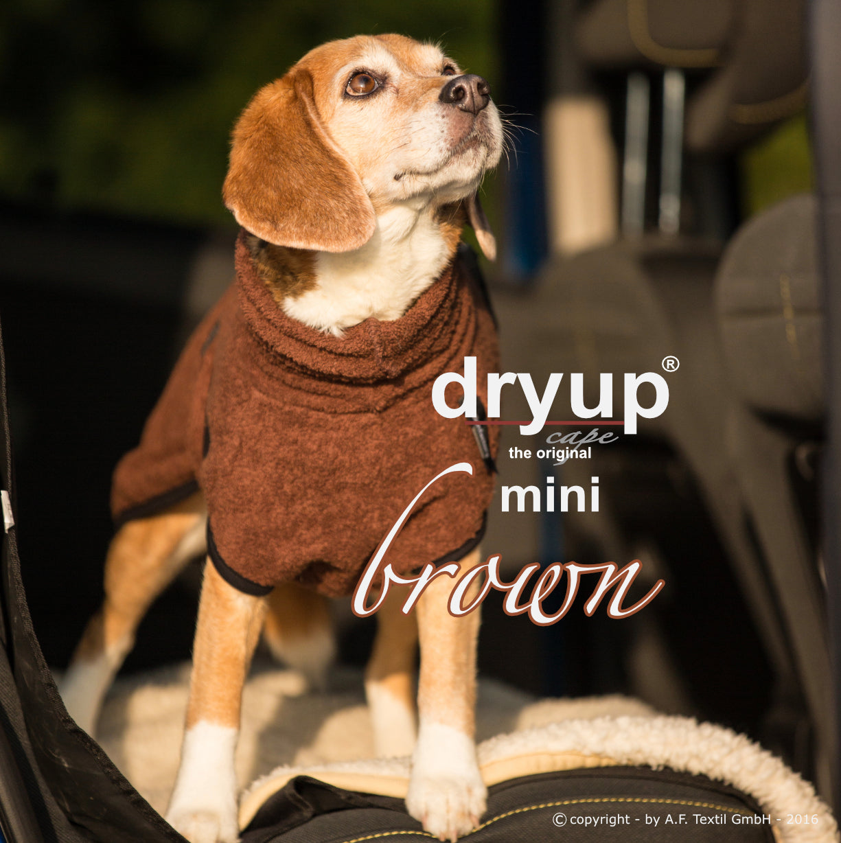 DRYUP CAPE Mini – Hundebademantel für die Kleinen und Kleinsten