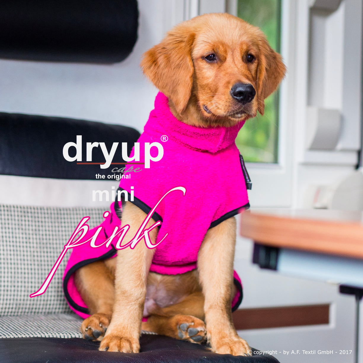 DRYUP CAPE Mini – Hundebademantel für die Kleinen und Kleinsten