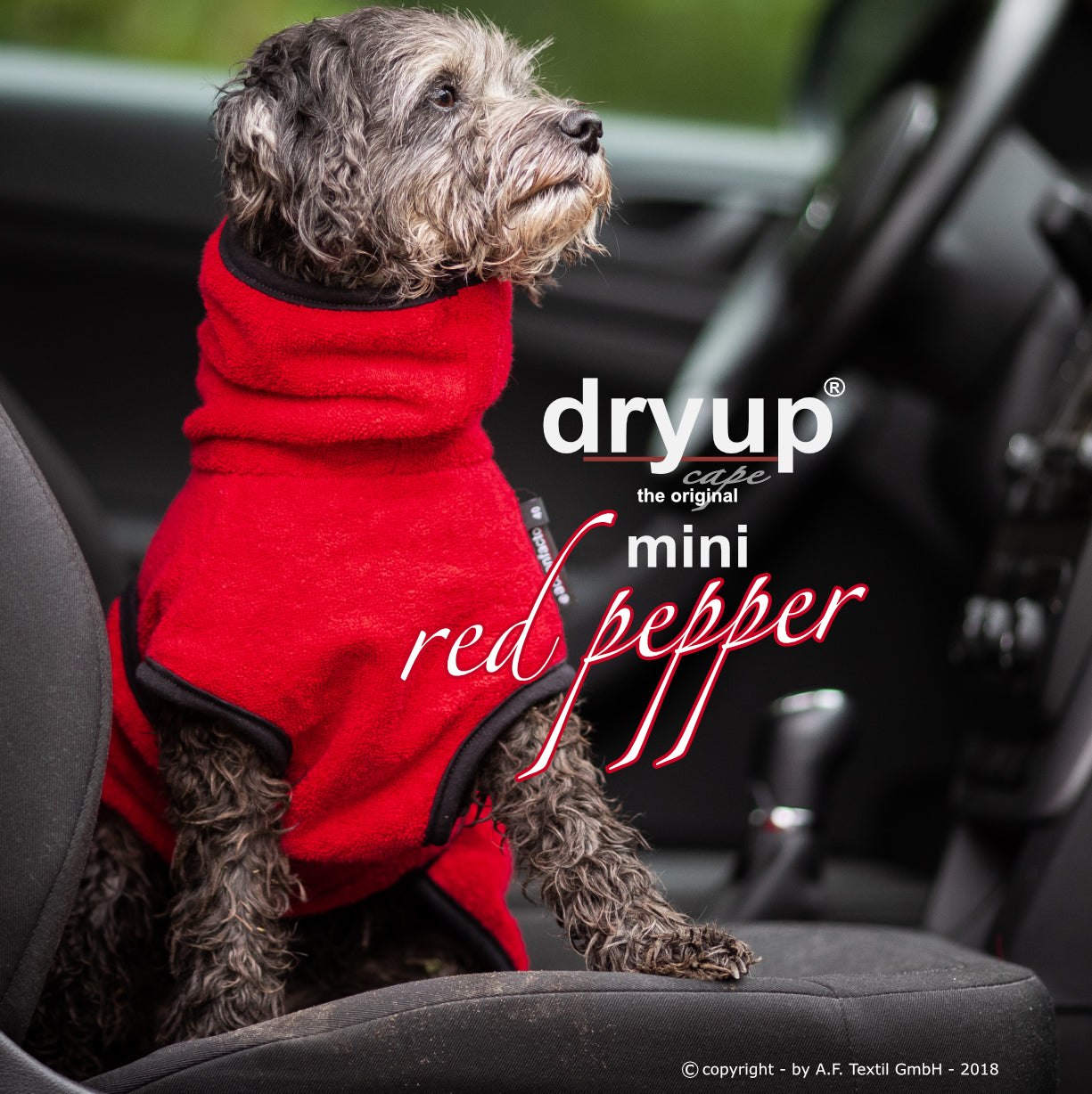 DRYUP CAPE Mini – Hundebademantel für die Kleinen und Kleinsten