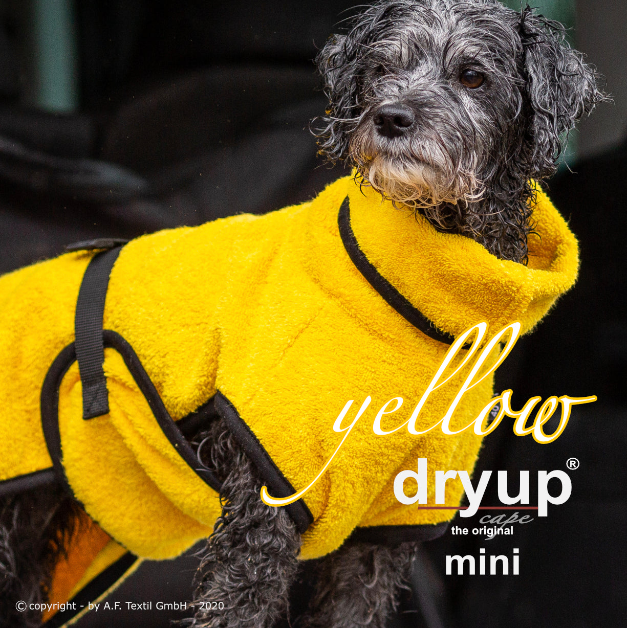 DRYUP CAPE Mini – Hundebademantel für die Kleinen und Kleinsten
