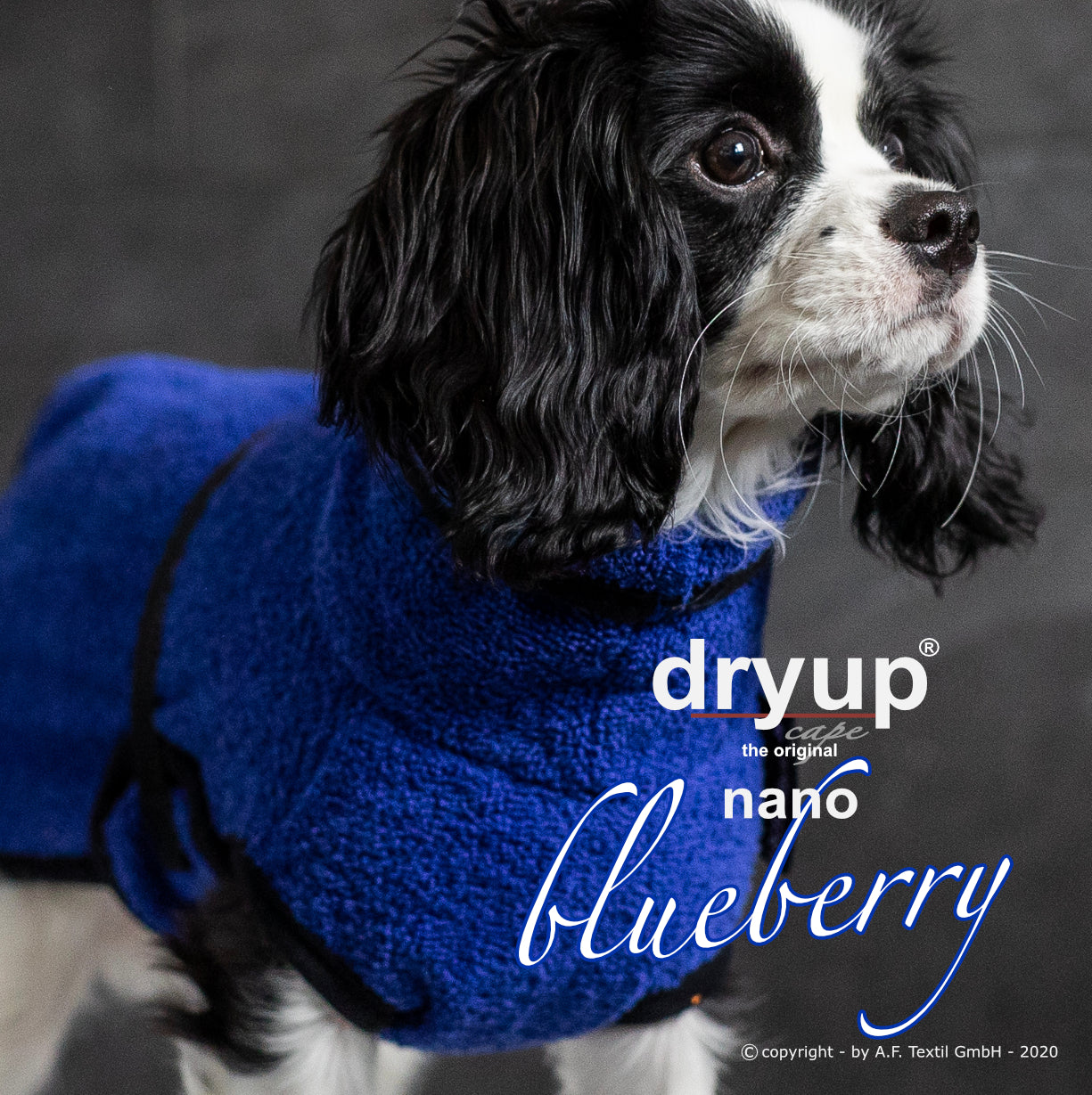 DRYUP CAPE Nano – Hundebademantel für die Kleinsten