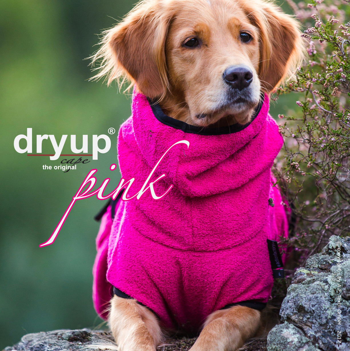 DRYUP CAPE Standard – Der hochwertige Hundebademantel aus Baumwolle L - XXL