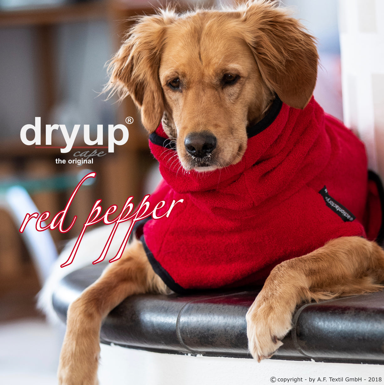 DRYUP CAPE Standard – Der hochwertige Hundebademantel aus Baumwolle L - XXL
