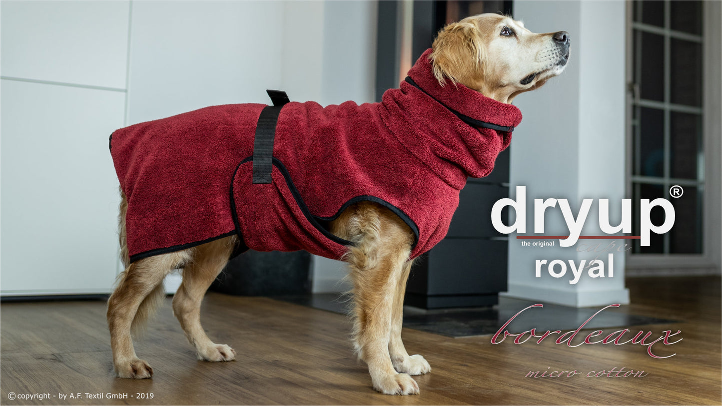 DRYUP CAPE Royal – Hundebademantel für stilvolle Trocknung