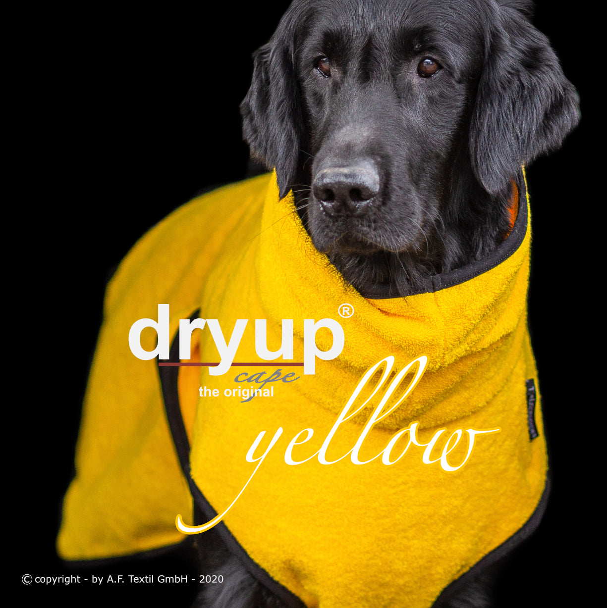 DRYUP CAPE Standard – Der hochwertige Hundebademantel aus Baumwolle L - XXL