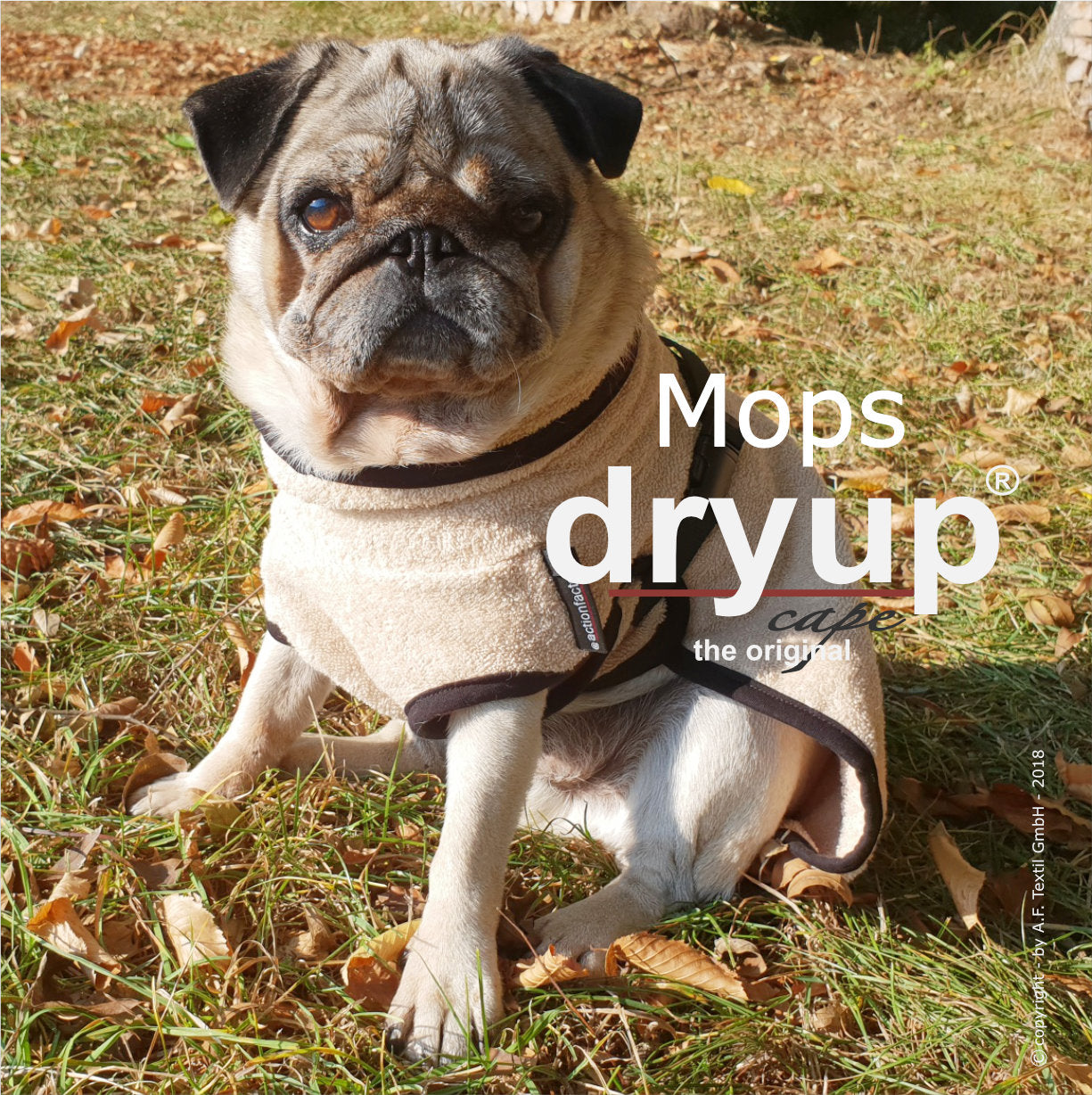 DRYUP CAPE Mops & Co – Hundebademantel für kompakte Hunderassen