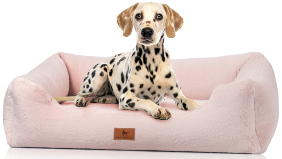 Knuffelwuff Orthopädisches Hundebett Schnuffelupagus – Luxus und Gesundheit für deinen Vierbeiner