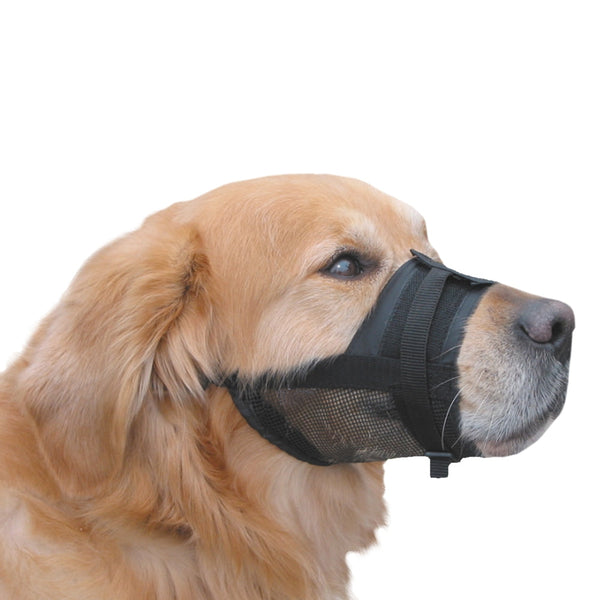 Maulkörbe für Hunde