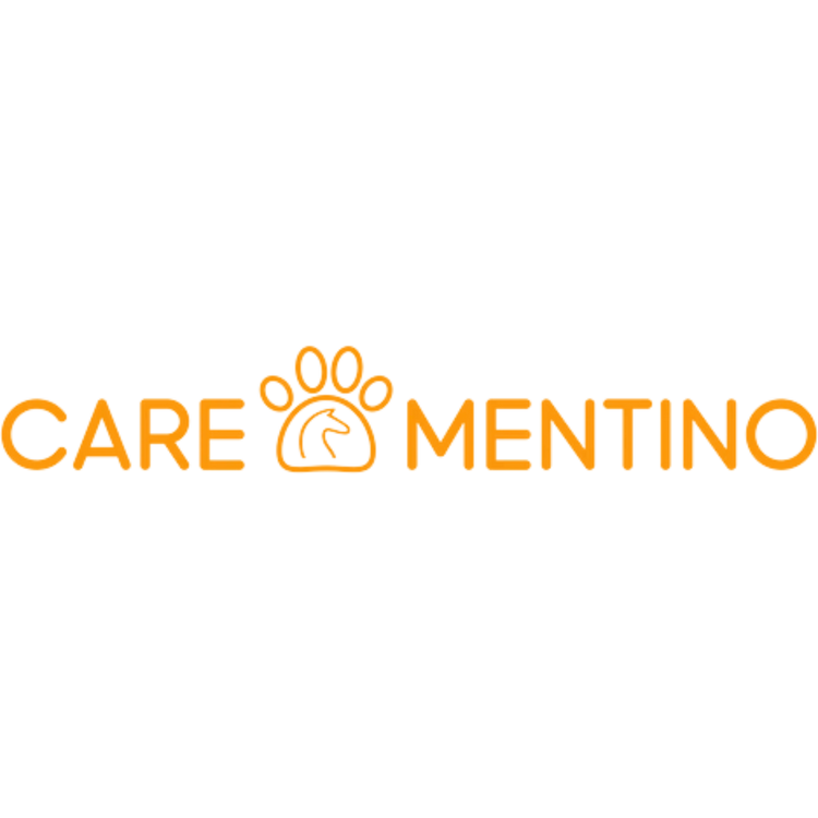 Carementino