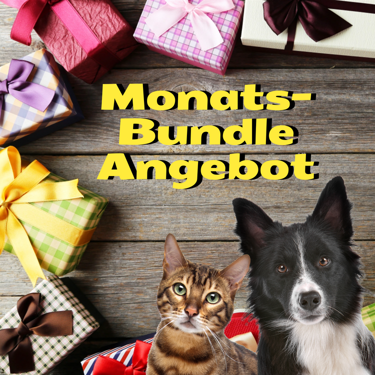 Monats-Bundle-Angebote