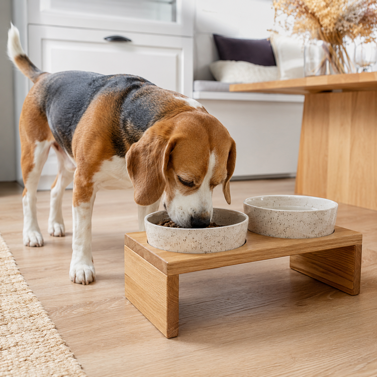 Doppelnäpfe & Napfständer für Hunde