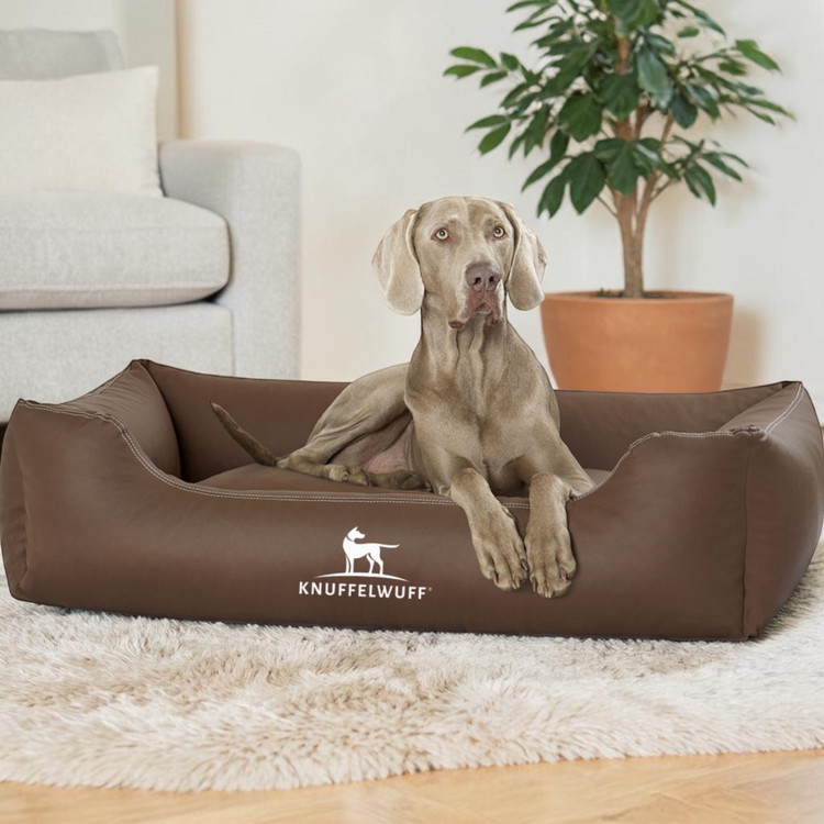Hundebetten & Hundekörbchen