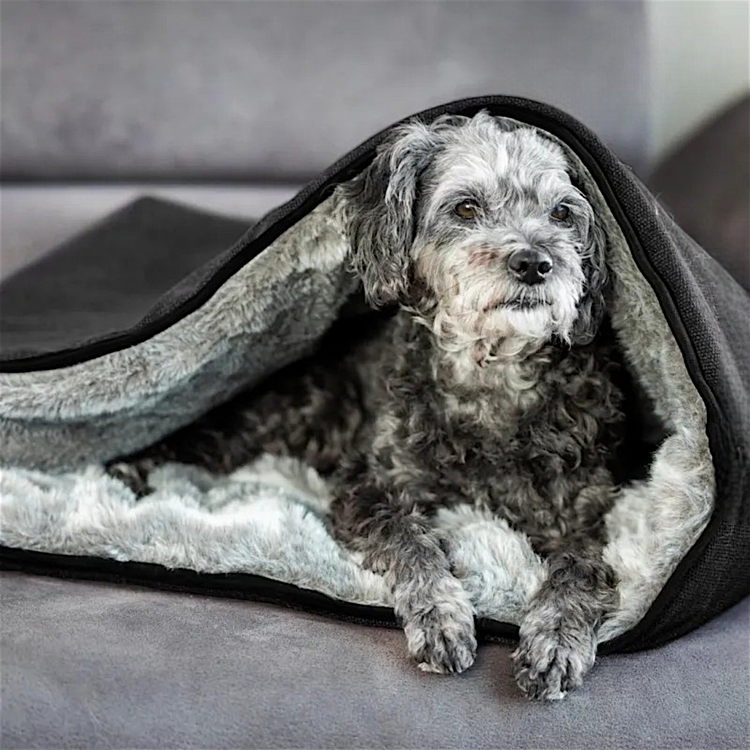 Hundehöhle