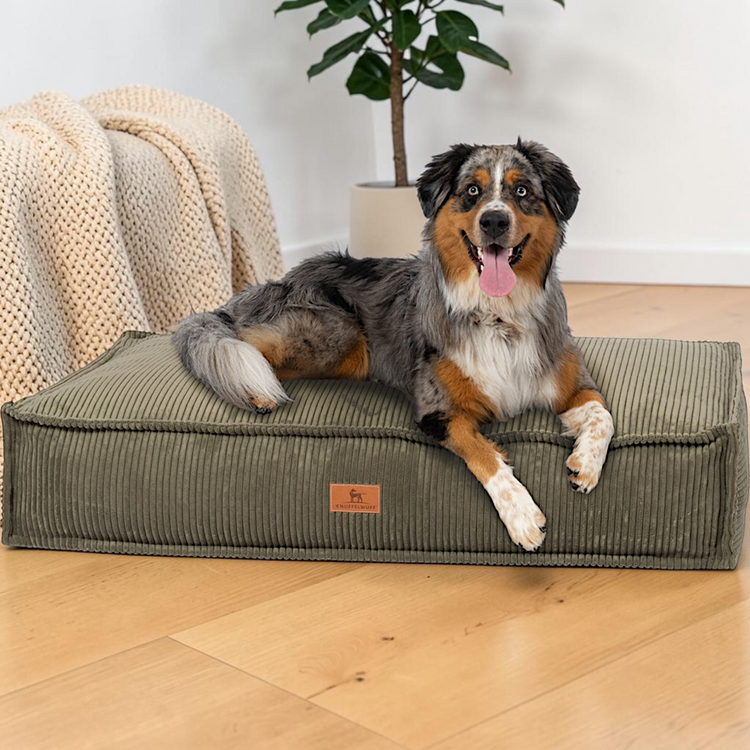 Hundematten & Hundekissen
