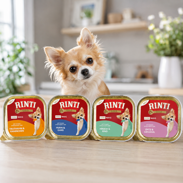 Hundenassfutter RINTI Gold Mini
