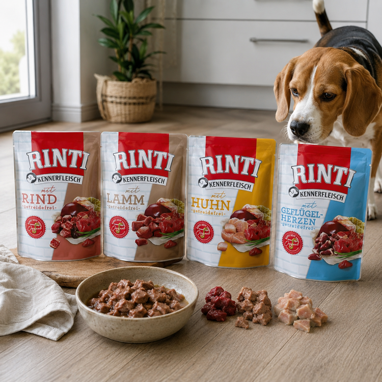 Hundenassfutter RINTI PB Kennerfleisch