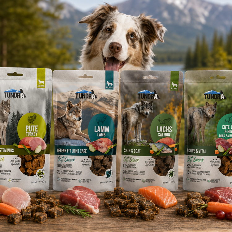 Hundesnacks Tundra