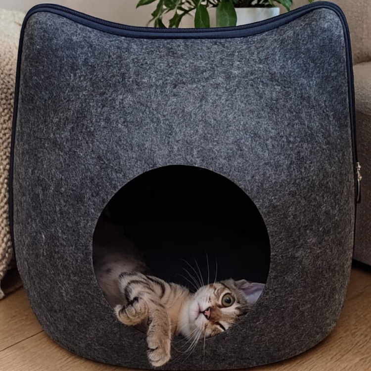 Katzenschlafplätze