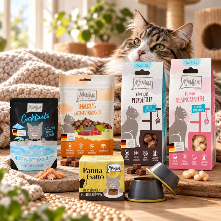 Katzensnacks MjAMjAM