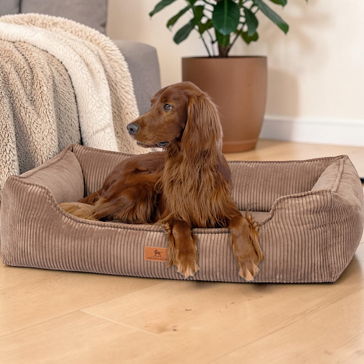 Orthopädische Hundebetten & Hundekörbe