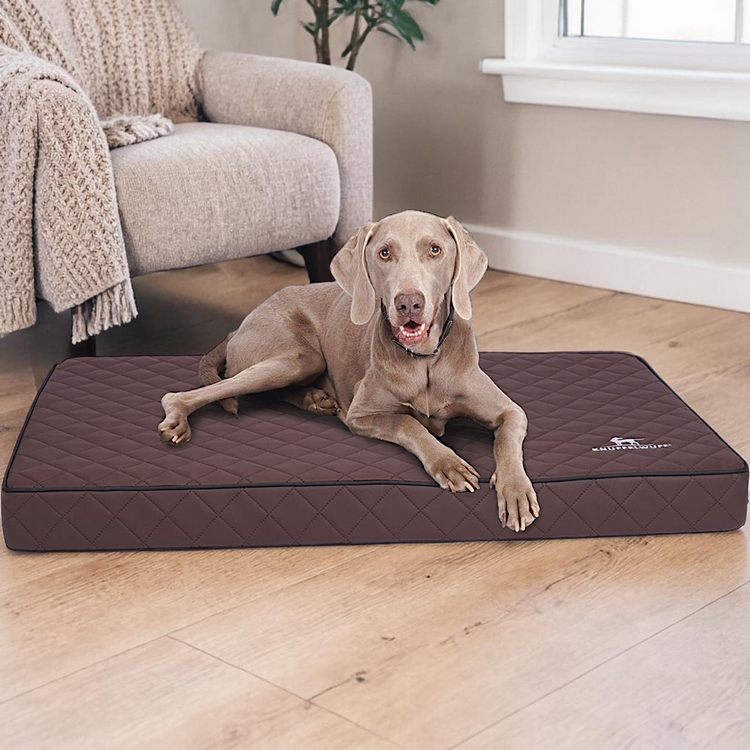 Orthopädische Hundematte & Hundekissen