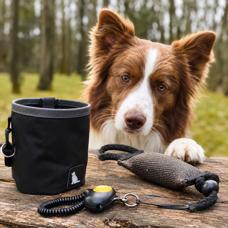 Clicker & Trainingshilfe für Hunde