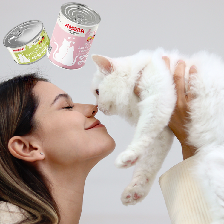 Katzennassfutter AMORA