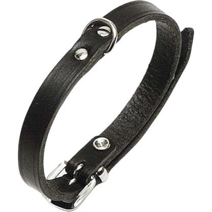 Rondo Genietetes Hundehalsband – Stilvolle Robustheit für deinen Vierbeiner