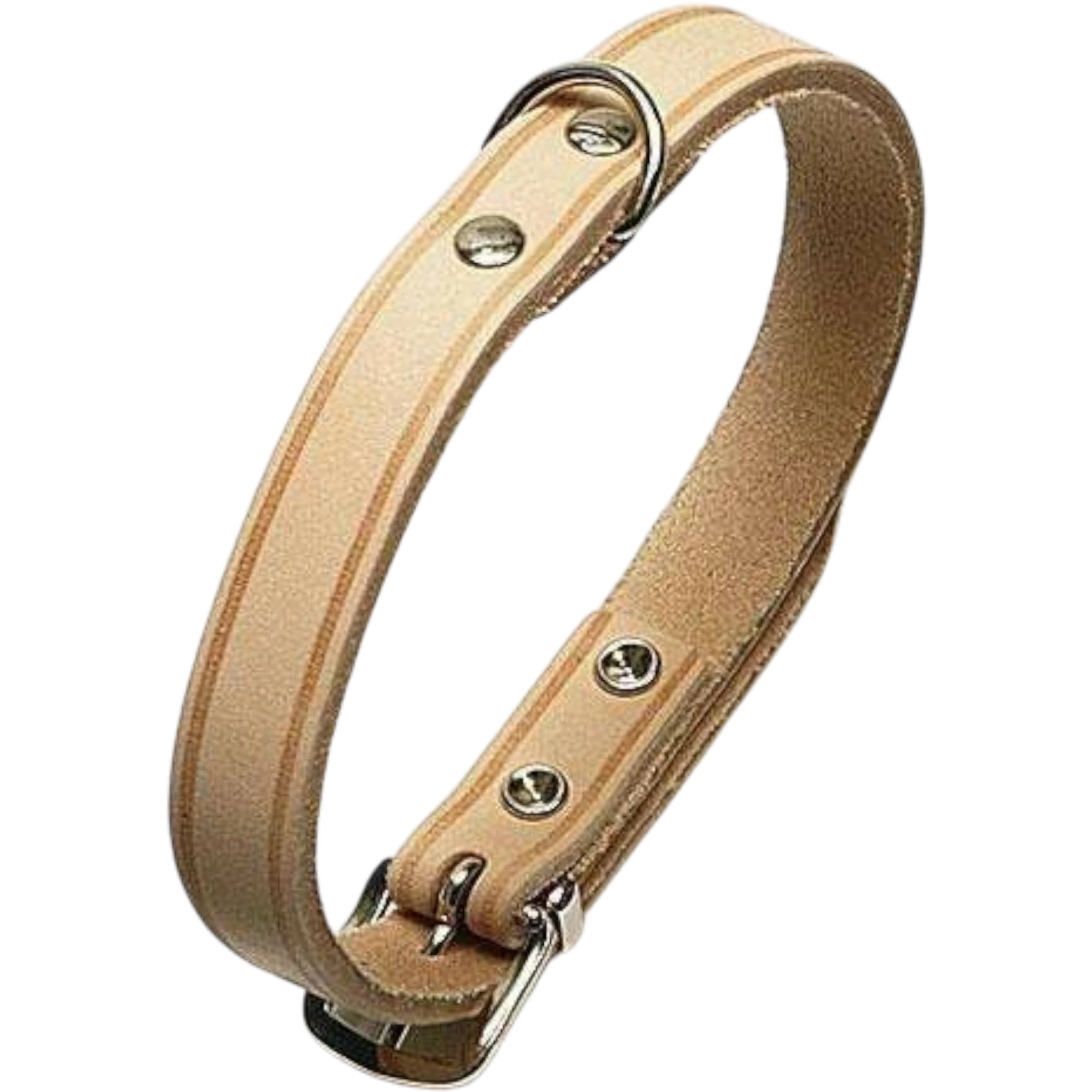 Rondo Genietetes Hundehalsband – Stilvolle Robustheit für deinen Vierbeiner