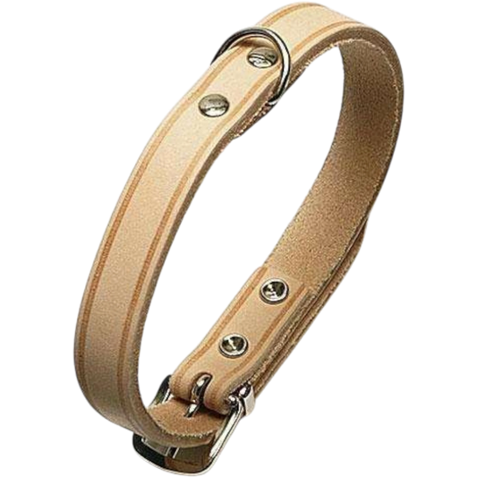 Rondo Genietetes Hundehalsband – Stilvolle Robustheit für deinen Vierbeiner