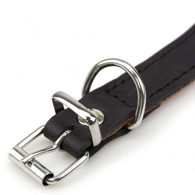 Karlie Rondo Windhund-Halsband – Robust, stilvoll & komfortabel