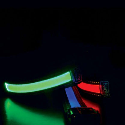 Karlie Visio Light o’LED – Sicherheit & Sichtbarkeit für Spaziergänge im Dunkeln