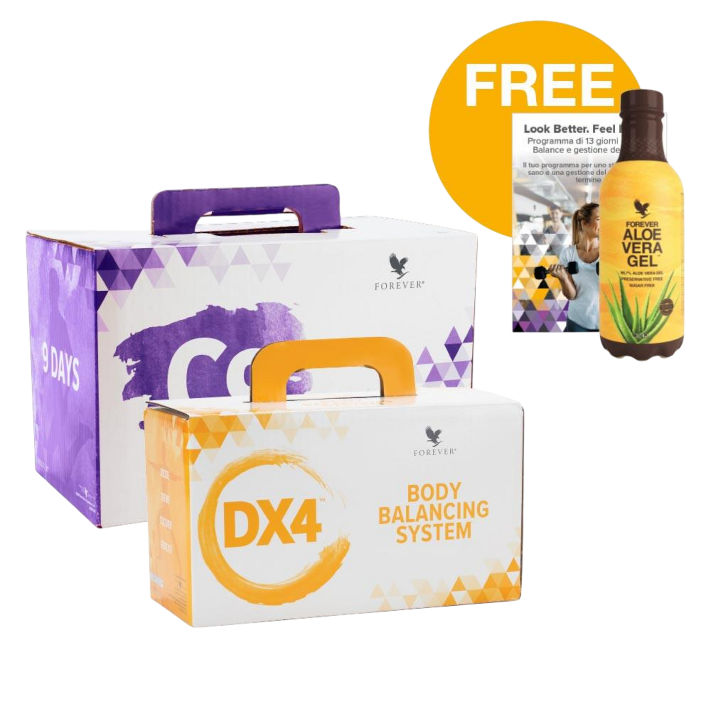 13-Day-Fit-Program – Dein Reset für Körper & Wohlbefinden