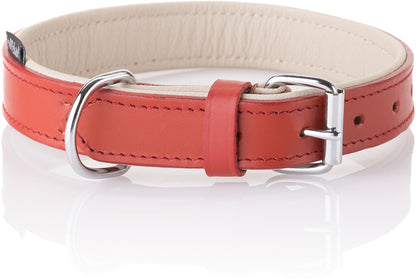 Knuffelwuff weiches Echtleder Hundehalsband Basic Plus