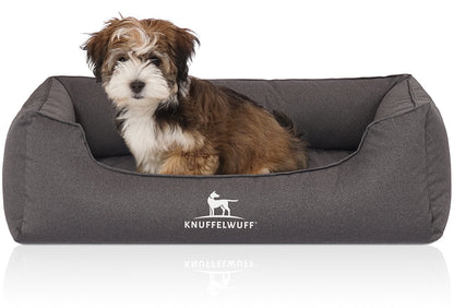 Orthopädisches Hundebett Leon von Knuffelwuff – Höchster Komfort für eine gesunde Erholung