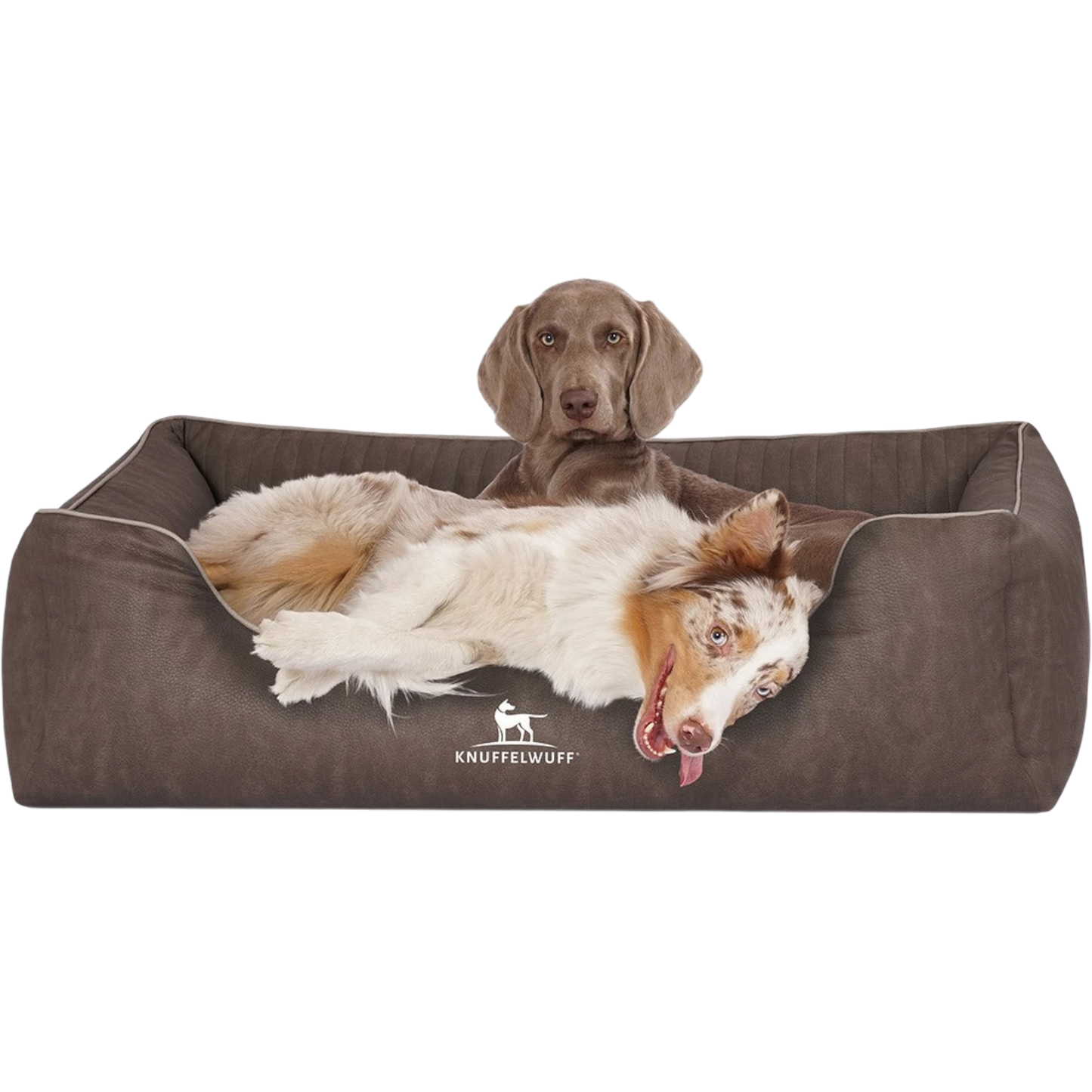 Knuffelwuff Orthopädisches Hundebett Tampa – Eleganz trifft auf höchsten Komfort
