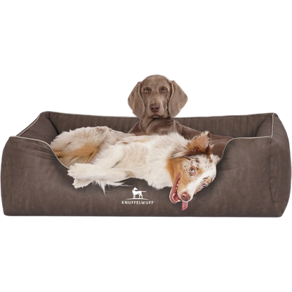 Knuffelwuff Orthopädisches Hundebett Tampa – Eleganz trifft auf höchsten Komfort