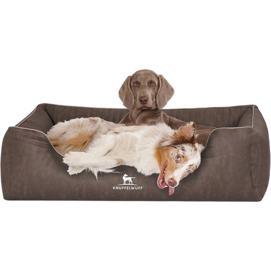 Knuffelwuff Orthopädisches Hundebett Tampa – Eleganz trifft auf höchsten Komfort