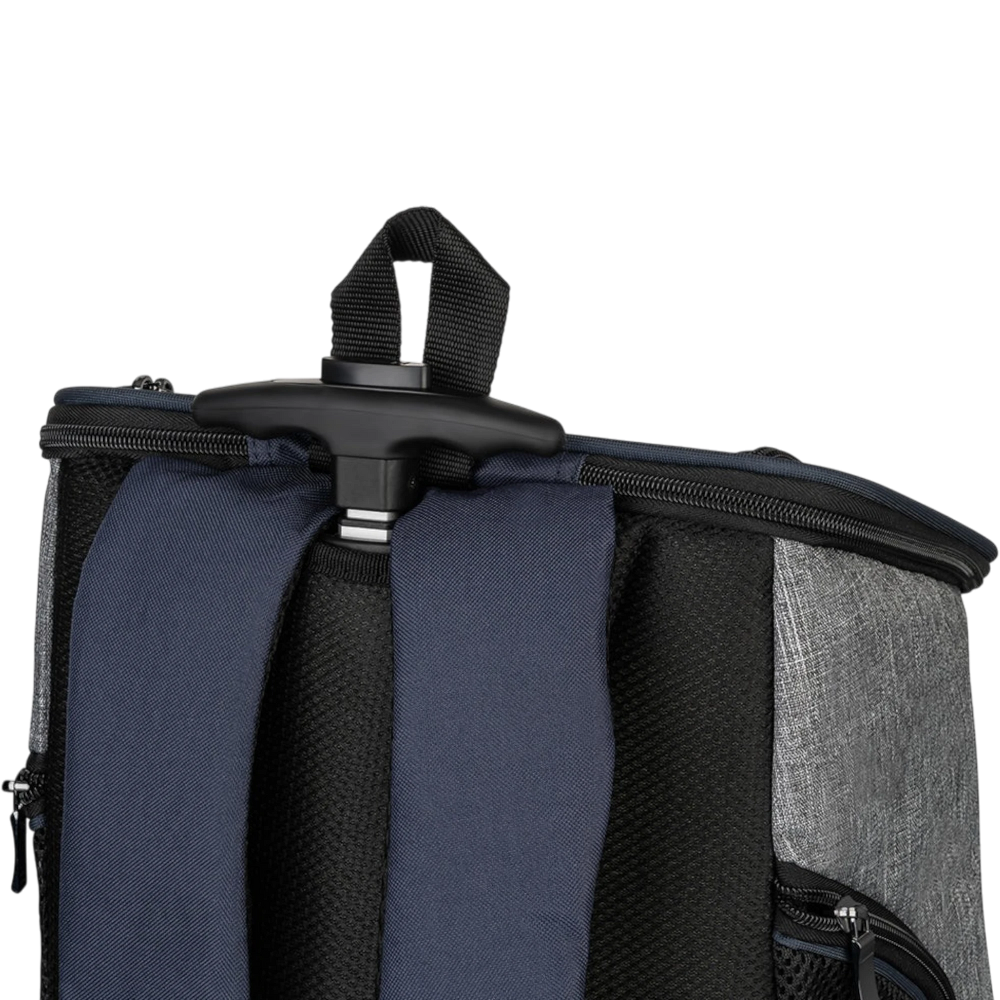 Knuffelwuff Hunderucksack Trolley Tajumulco