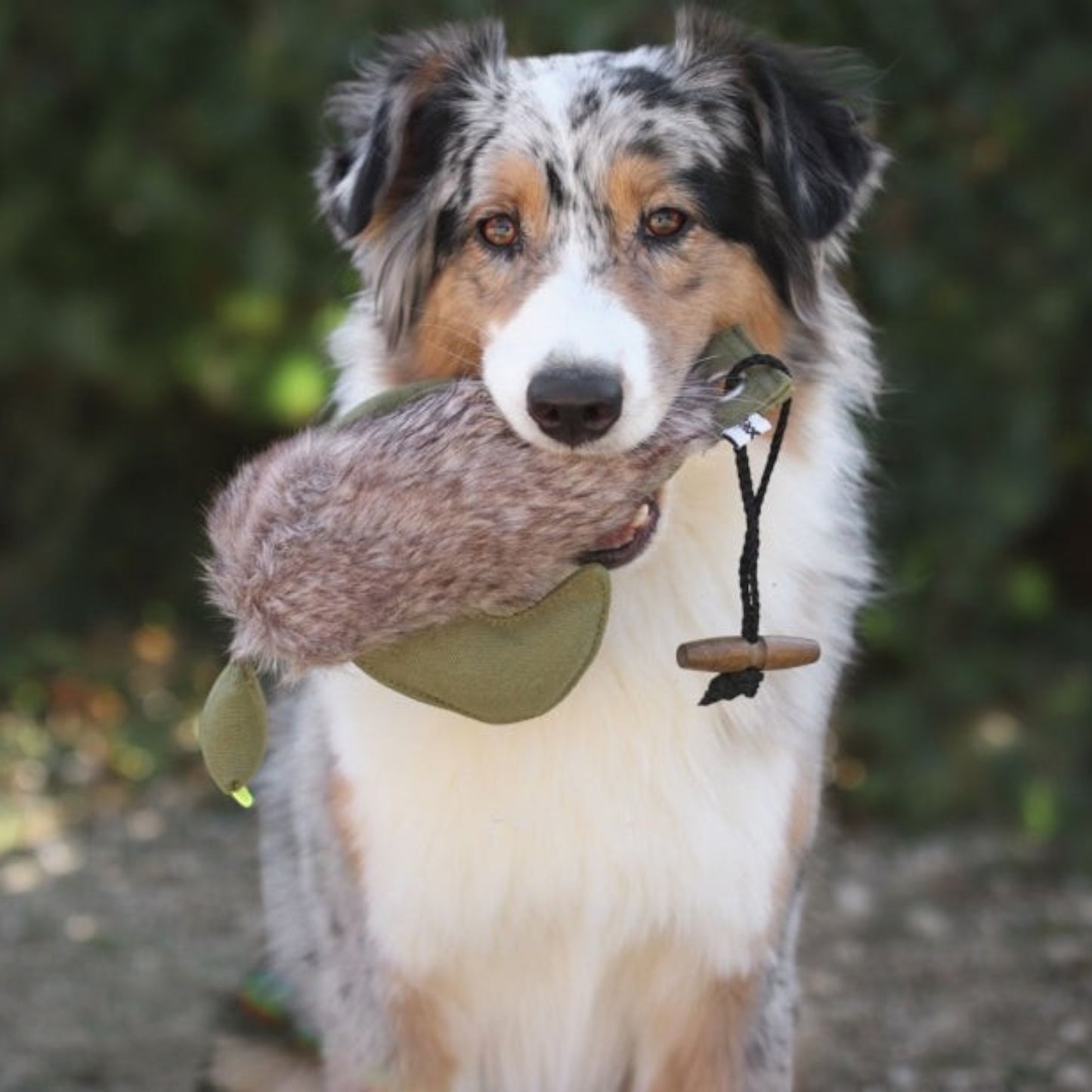 Enten Dummy mit Kunstfell