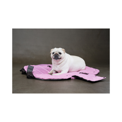 2-in-1 Hundetragetasche & Schlafdecke – Gemütlich unterwegs mit Stil