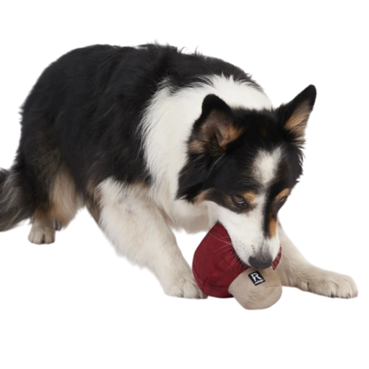 Redoggo Pilz – Nachhaltiger Suchspaß für kluge Spürnasen